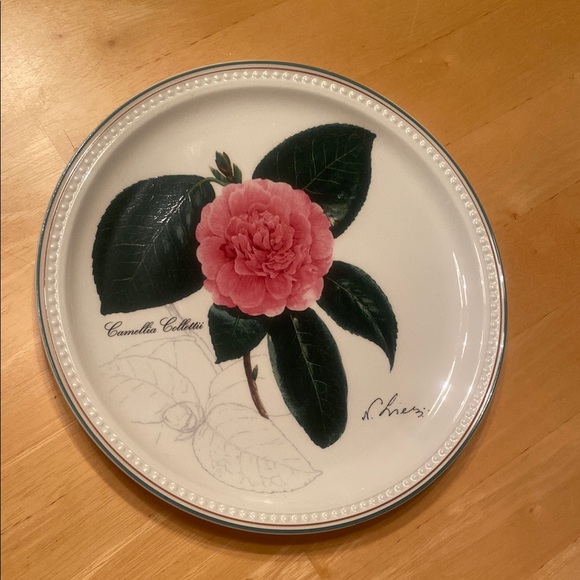 Villeroy & Boch Other - Villeroy & Boch White Decorative Plate🌸
